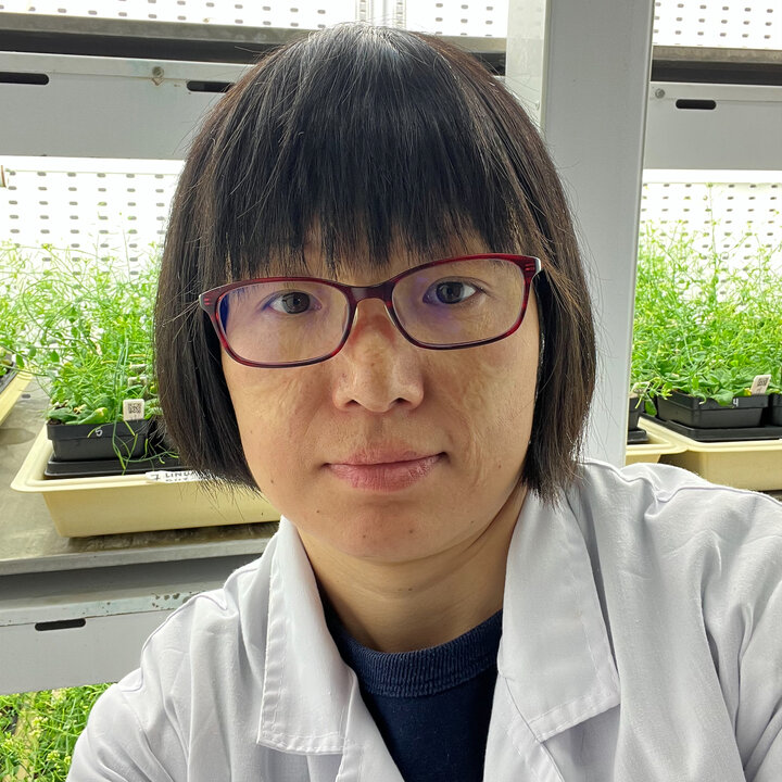 Avatar for Mary Wang